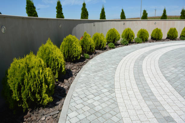 Best Driveway Pavers Near Me  in Lake Shore, WA